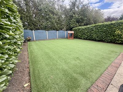 Picture 29